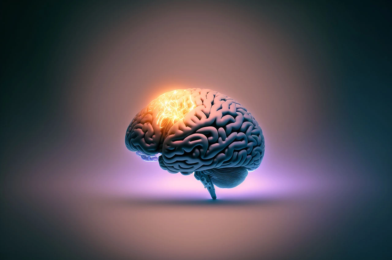 The brain develops rapidly during the early years. 6 15